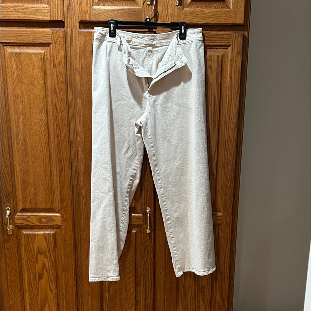 Universal Thread Men's Light Tan Chinos